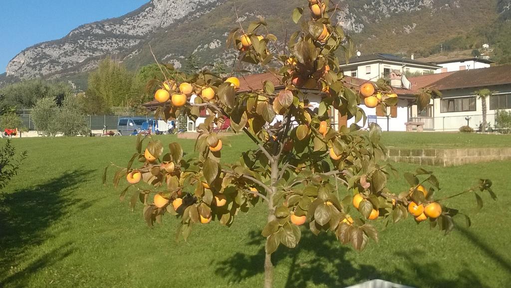 Agriturismo Trefrutti Arco Kültér fotó